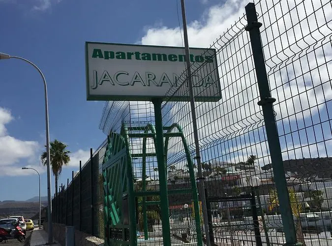 Jacaranda